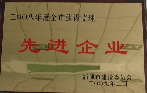 2009.2监理先进企业